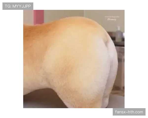 杨威练了个隐形健身房，连家里猫都看傻了啊这也太拼了吧！